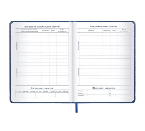 Дневник 1-11 класс 48 л., кожзам (твердая с поролоном), нашивка, BRAUBERG IGUANA, синий, 107226