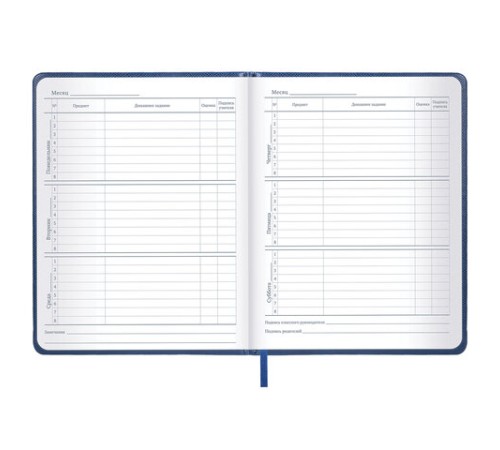 Дневник 1-11 класс 48 л., кожзам (твердая с поролоном), нашивка, BRAUBERG IGUANA, синий, 107226