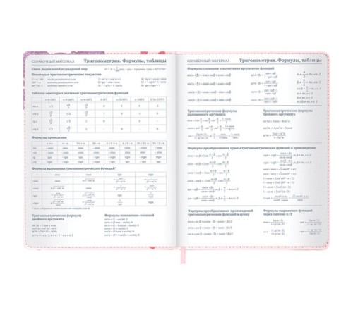 Дневник 1-11 класс 48 л., кожзам (твердая), застежка, BRAUBERG, 