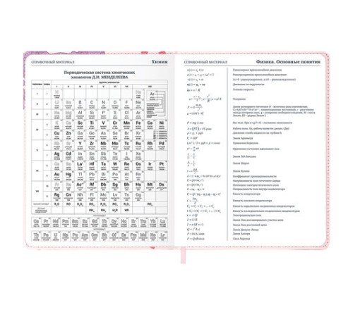 Дневник 1-11 класс 48 л., кожзам (твердая), застежка, BRAUBERG, 