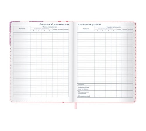 Дневник 1-11 класс 48 л., кожзам (твердая), застежка, BRAUBERG, 