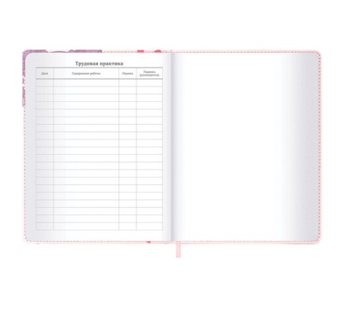 Дневник 1-11 класс 48 л., кожзам (твердая), застежка, BRAUBERG, 