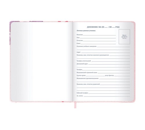 Дневник 1-11 класс 48 л., кожзам (твердая), застежка, BRAUBERG, 
