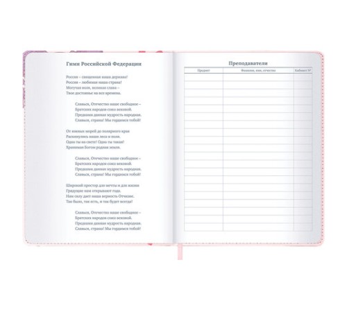 Дневник 1-11 класс 48 л., кожзам (твердая), застежка, BRAUBERG, 