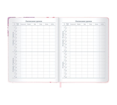 Дневник 1-11 класс 48 л., кожзам (твердая), застежка, BRAUBERG, 