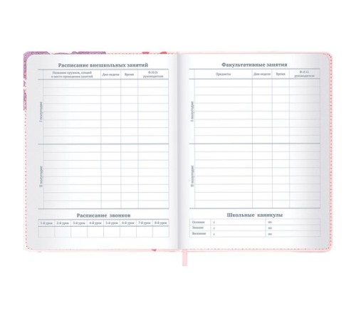 Дневник 1-11 класс 48 л., кожзам (твердая), застежка, BRAUBERG, 