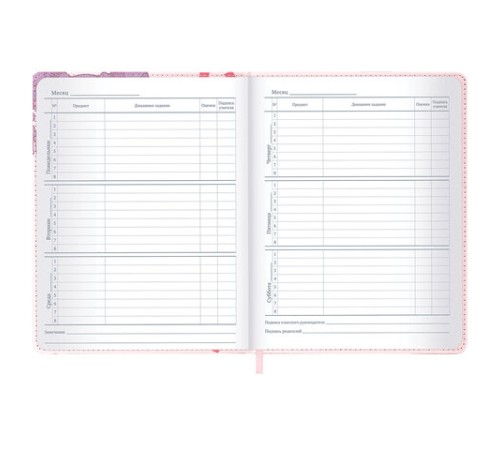 Дневник 1-11 класс 48 л., кожзам (твердая), застежка, BRAUBERG, 