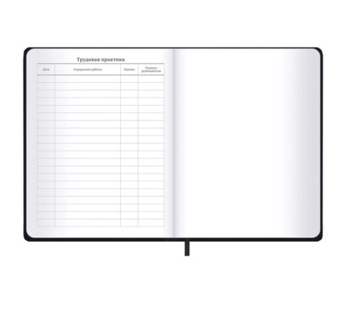 Дневник 1-11 класс 48 л., кожзам SoftTouch (твердая с поролоном), фольга, BRAUBERG, 