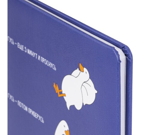 Дневник 1-11 класс 48 л., кожзам (твердая с поролоном), печать, ляссе с аппликацией, BRAUBERG, 