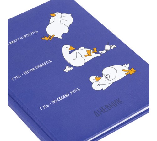 Дневник 1-11 класс 48 л., кожзам (твердая с поролоном), печать, ляссе с аппликацией, BRAUBERG, 