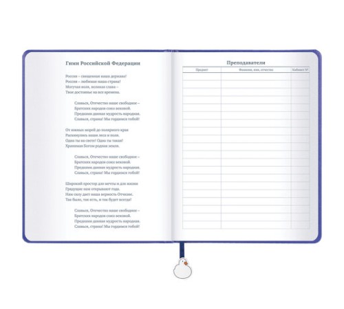 Дневник 1-11 класс 48 л., кожзам (твердая с поролоном), печать, ляссе с аппликацией, BRAUBERG, 