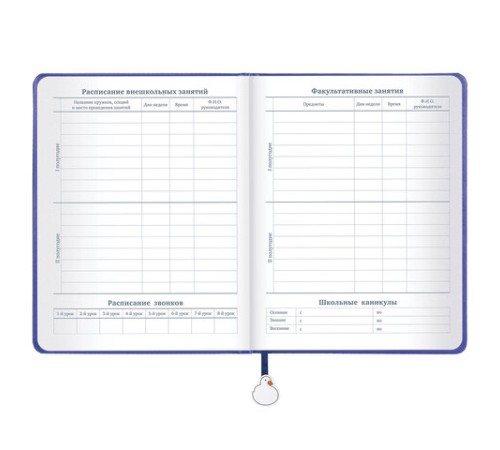 Дневник 1-11 класс 48 л., кожзам (твердая с поролоном), печать, ляссе с аппликацией, BRAUBERG, 
