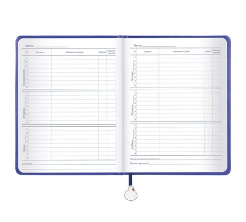 Дневник 1-11 класс 48 л., кожзам (твердая с поролоном), печать, ляссе с аппликацией, BRAUBERG, 