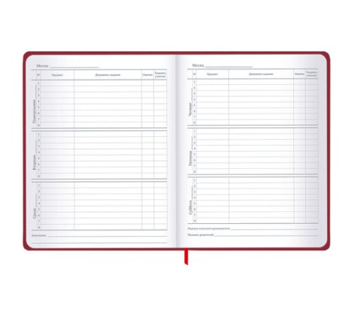 Дневник 1-11 класс 48 л., твердый, BRAUBERG, матовая ламинация, резинка, закладка-ляссе, с подсказом, 