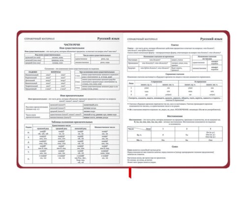 Дневник 1-11 класс 48 л., твердый, BRAUBERG, матовая ламинация, резинка, закладка-ляссе, с подсказом, 