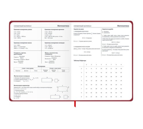 Дневник 1-11 класс 48 л., твердый, BRAUBERG, матовая ламинация, резинка, закладка-ляссе, с подсказом, 
