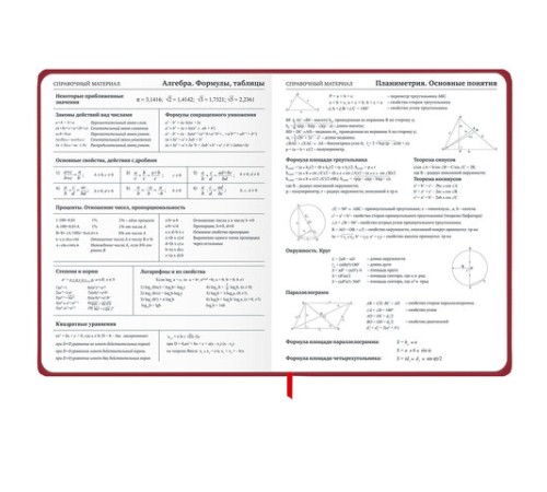 Дневник 1-11 класс 48 л., твердый, BRAUBERG, матовая ламинация, резинка, закладка-ляссе, с подсказом, 