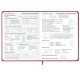Дневник 1-11 класс 48 л., твердый, BRAUBERG, матовая ламинация, резинка, закладка-ляссе, с подсказом, 