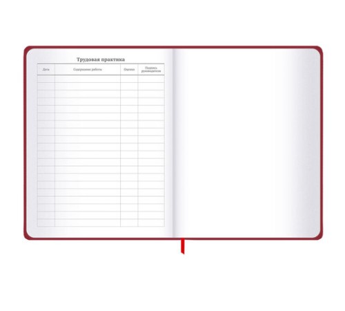 Дневник 1-11 класс 48 л., твердый, BRAUBERG, матовая ламинация, резинка, закладка-ляссе, с подсказом, 