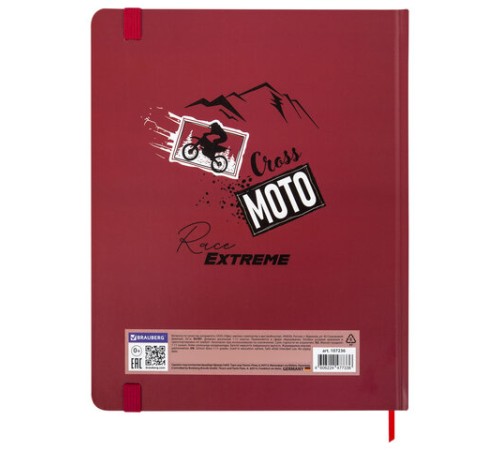 Дневник 1-11 класс 48 л., твердый, BRAUBERG, матовая ламинация, резинка, закладка-ляссе, с подсказом, 