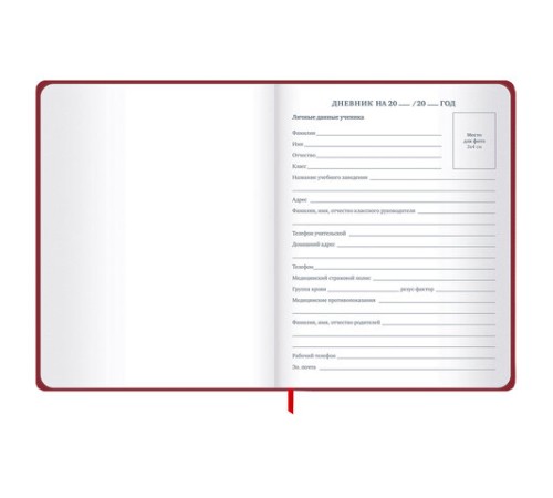 Дневник 1-11 класс 48 л., твердый, BRAUBERG, матовая ламинация, резинка, закладка-ляссе, с подсказом, 