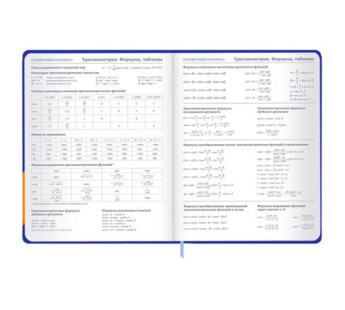 Дневник 1-11 класс 48 л., твердый, BRAUBERG, матовая ламинация, резинка, закладка-ляссе, с подсказом, 