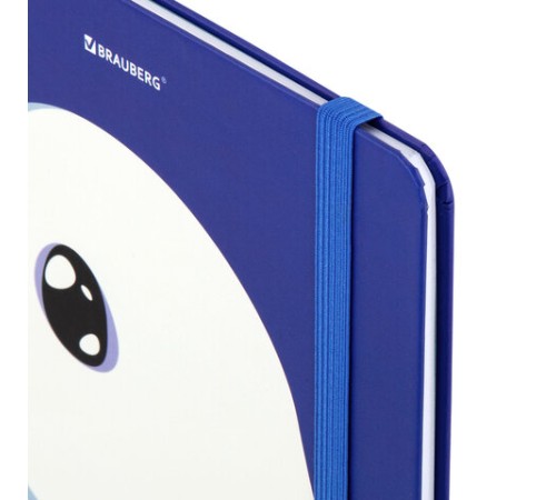 Дневник 1-11 класс 48 л., твердый, BRAUBERG, матовая ламинация, резинка, закладка-ляссе, с подсказом, 