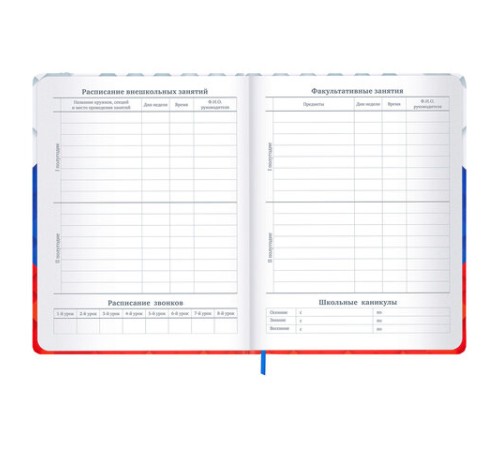 Дневник 1-11 класс 48 л., твердый, BRAUBERG, матовая ламинация, резинка, закладка-ляссе, с подсказом, 