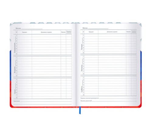 Дневник 1-11 класс 48 л., твердый, BRAUBERG, матовая ламинация, резинка, закладка-ляссе, с подсказом, 