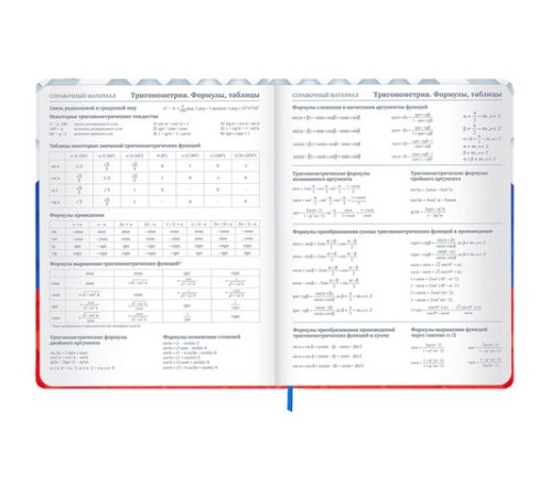 Дневник 1-11 класс 48 л., твердый, BRAUBERG, матовая ламинация, резинка, закладка-ляссе, с подсказом, 