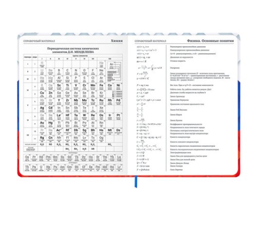 Дневник 1-11 класс 48 л., твердый, BRAUBERG, матовая ламинация, резинка, закладка-ляссе, с подсказом, 