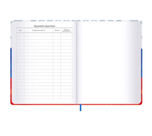 Дневник 1-11 класс 48 л., твердый, BRAUBERG, матовая ламинация, резинка, закладка-ляссе, с подсказом, 