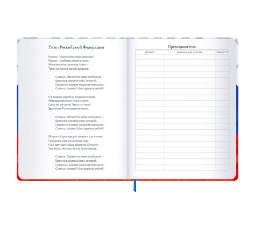 Дневник 1-11 класс 48 л., твердый, BRAUBERG, матовая ламинация, резинка, закладка-ляссе, с подсказом, 