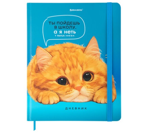 Дневник 1-11 класс 48 л., твердый, BRAUBERG, матовая ламинация, резинка, закладка-ляссе, с подсказом, 