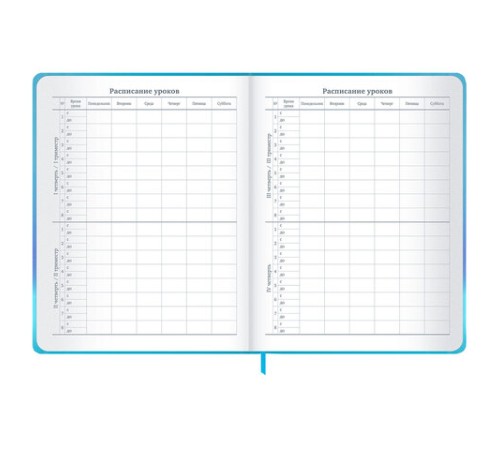 Дневник 1-11 класс 48 л., твердый, BRAUBERG, матовая ламинация, резинка, закладка-ляссе, с подсказом, 