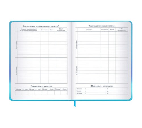 Дневник 1-11 класс 48 л., твердый, BRAUBERG, матовая ламинация, резинка, закладка-ляссе, с подсказом, 