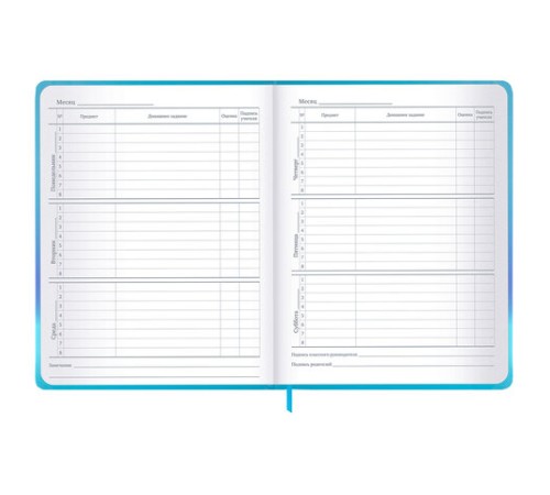 Дневник 1-11 класс 48 л., твердый, BRAUBERG, матовая ламинация, резинка, закладка-ляссе, с подсказом, 