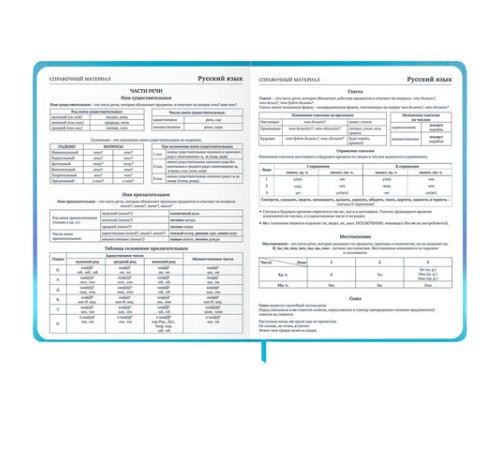 Дневник 1-11 класс 48 л., твердый, BRAUBERG, матовая ламинация, резинка, закладка-ляссе, с подсказом, 