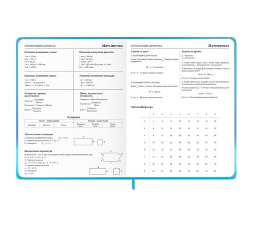 Дневник 1-11 класс 48 л., твердый, BRAUBERG, матовая ламинация, резинка, закладка-ляссе, с подсказом, 