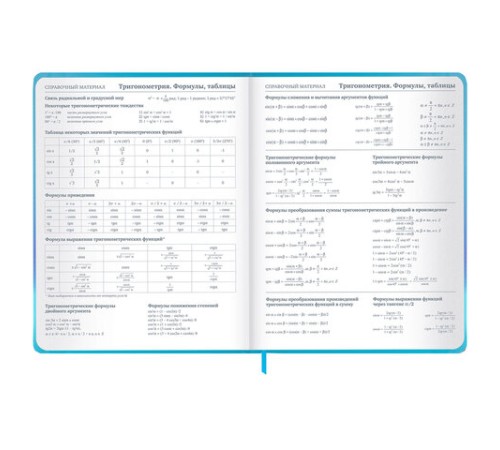 Дневник 1-11 класс 48 л., твердый, BRAUBERG, матовая ламинация, резинка, закладка-ляссе, с подсказом, 