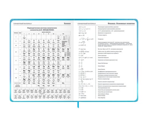 Дневник 1-11 класс 48 л., твердый, BRAUBERG, матовая ламинация, резинка, закладка-ляссе, с подсказом, 