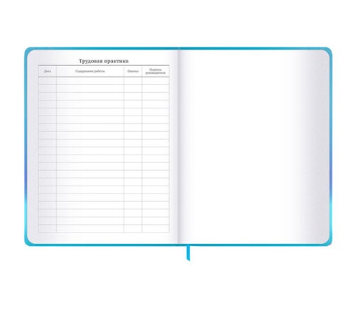 Дневник 1-11 класс 48 л., твердый, BRAUBERG, матовая ламинация, резинка, закладка-ляссе, с подсказом, 