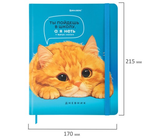 Дневник 1-11 класс 48 л., твердый, BRAUBERG, матовая ламинация, резинка, закладка-ляссе, с подсказом, 