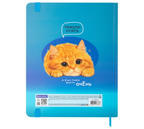 Дневник 1-11 класс 48 л., твердый, BRAUBERG, матовая ламинация, резинка, закладка-ляссе, с подсказом, 