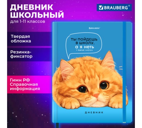 Дневник 1-11 класс 48 л., твердый, BRAUBERG, матовая ламинация, резинка, закладка-ляссе, с подсказом, 