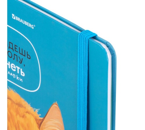 Дневник 1-11 класс 48 л., твердый, BRAUBERG, матовая ламинация, резинка, закладка-ляссе, с подсказом, 
