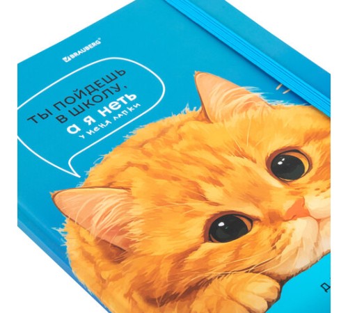 Дневник 1-11 класс 48 л., твердый, BRAUBERG, матовая ламинация, резинка, закладка-ляссе, с подсказом, 