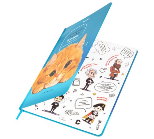 Дневник 1-11 класс 48 л., твердый, BRAUBERG, матовая ламинация, резинка, закладка-ляссе, с подсказом, 