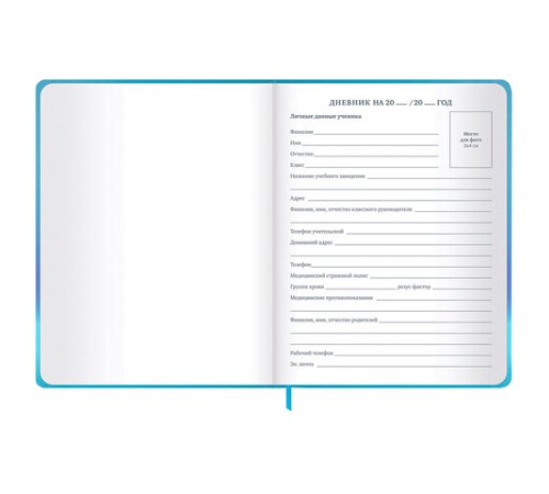Дневник 1-11 класс 48 л., твердый, BRAUBERG, матовая ламинация, резинка, закладка-ляссе, с подсказом, 
