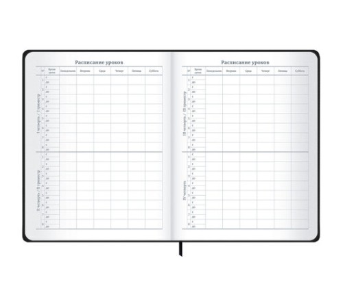 Дневник 1-11 класс 48 л., твердый, BRAUBERG, матовая ламинация, резинка, закладка-ляссе, с подсказом, 